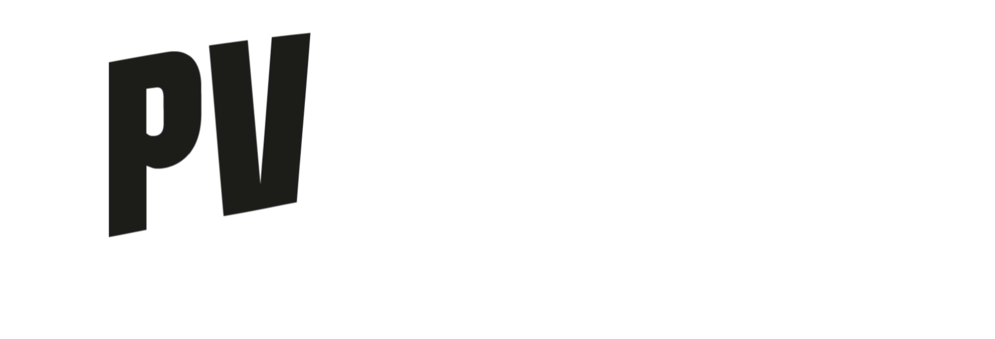 PV Academy - Victory belongs to the most tenacious